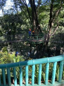 Cloud 9 Antipolo Hanging Bridge