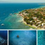 What to Do in Moalboal: Top Activities for Memorable Adventures