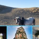 What to Do in Laoag: Top Attractions and Activities